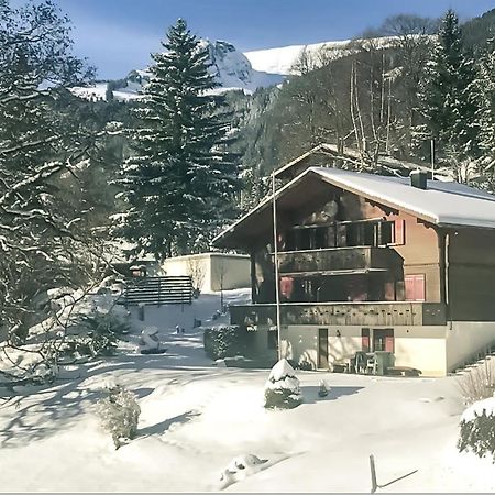 Bussalp Apartment - Aare Jungfrau Ag Grindelwald Exterior photo